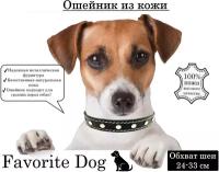 Ошейник Favorite Dog - кожаный ошейник для средних и маленьких собак