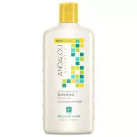 Andalou Naturals шампунь Brilliant Shine Sunflower & Citrus для блеска волос