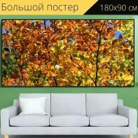 Большой постер "Листы, ветви деревьев, цвет осени" 180 x 90 см. для интерьера
