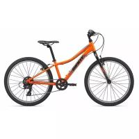 Горный (MTB) велосипед Giant XTC Jr 24 Lite (2020)