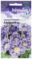 Гавриш Семена цветов Глоксиния "Ликование", серия Лавандовые грезы, гранулы, 5 шт