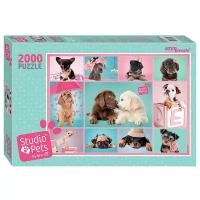 Пазл Step puzzle Studio Pets by Myrna (84300)