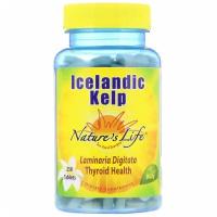 Nature's Life Kelp (Исландская бурая водоросль) 250 таблеток