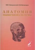 Гайворонский И. В. "Анатомия мышечной системы: учебное пособие ( мышцы, фасции, топография)"