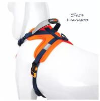 Шлейка для собак Joyser Walk Soft Harness оранжевая M