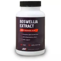 Капсулы PROTEIN.COMPANY Boswellia extract Экстракт босвеллии, 90 г, 250 мл, 90 шт