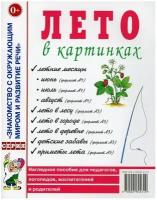 Лето в картинках. Наглядное пособие для педагогов, логопедов, воспитателей и родителей (Гном)