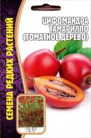 Семена Цифомандры Тамарилло (Томатного дерева) (5 семян)