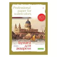 Папка для акварели 8 листов, формат А3, 2 вида обложек
