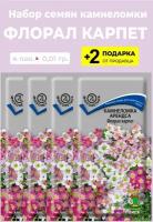 Семена цветов Камнеломка Арендса "Флорал Карпет", смесь, 4 упаковки + 2 Подарка от продавца