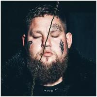 Виниловая пластинка. Rag'n'Bone Man. Life By Misadventure (2 LP)