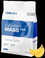 GEON Excellent Mass 5000 2,72 кг (пакет) Тропик банан