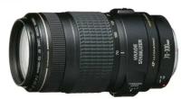 Canon EF 70-300mm f/4.0-5.6 IS USM