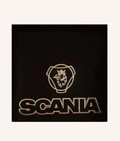 Брызговики 40*60, SCANIA с логотипом