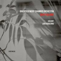 Компакт-диск Warner Divertissement Chamber Orchestra – White Balance