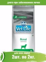 Farmina 2кг х 2шт Vet Life Dog Renal при заболеваниях почек сухой корм