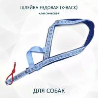 Шлейка ездовая для собак X-Back, классическая "Голубой дракон" XL