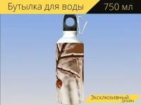 Бутылка фляга для воды "Кизильник из клюквы, куст, замороженный" 750 мл. с карабином и принтом