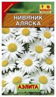 Семена Нивяник Аляска наибольший (многолетние) (Аэлита) 0,5г