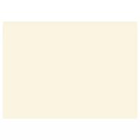 Картон цветной тонированный А3 1 шт., Лилия Холдинг,200г/м2,слоновая кость Лилия Холдинг 299641