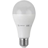 Лампа светодиод 19Вт груша А65 Е27 4000К 1520Лм матовая LED A65-19W-840-E27 ЭРА