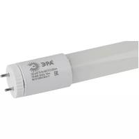 Лампа светодиодная ЭРА, LED smd T8-18w-865-G13 1200mm G13, T8, 18Вт, 6500К