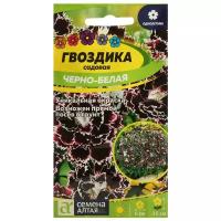 Семена цветов Гвоздика "Черно-белая геддевига", Сем. Алт, ц/п, 0,04 г