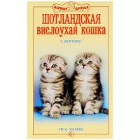 Шотландская вислоухая кошка. Ум и обаяние | Шевченко Елена Алексеевна