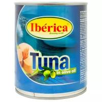 Тунец IBERICA (Иберика) в оливковом масле 800 г