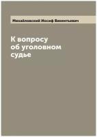 К вопросу об уголовном судье