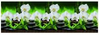 Кухонный фартук "Белая орхидея" 1000*600 мм, АБС пластик, термоперевод