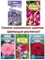 Набор семян, семена Комнатных цветов, глоксиния, бегония, бальзамин, 5 пакетов