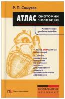 Атлас анатомии человека: Учебное пособие. 7-е изд, перераб