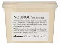 Davines кондиционер Essential Haircare New Nounou Nourishing для сухих волос, 250 мл