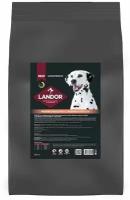 Landor MEDIUM & MAXI ADULT Сухой корм для взрослых собак средних и крупных пород индейка и лосось 15 кг