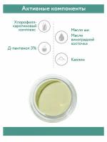 ARAVIA Blemish Correction Mask маска-корректор против несовершенств с хлорофилл-каротиновым комплексом и Д-пантенолом, 150 г, 100 мл