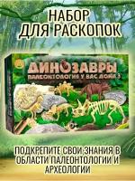 Набор для раскопок Динозавры Палеонтология дома опыты