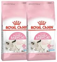 ROYAL CANIN MOTHER & BABYCAT 34 для котят до 4 месяцев, беременных и кормящих кошек (4 + 4 кг)