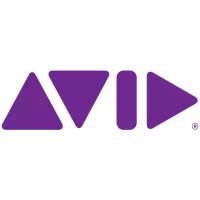 Годовая подписка AVID Media Composer | Enterprise Engine 1-Year Subscription