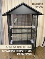 Клетки