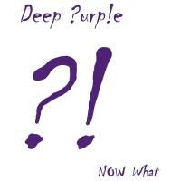 Виниловая пластинка Ear Music Deep Purple - NOW What ?! (2 LP)