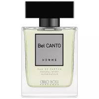 Парфюмерная вода Carlo Bossi BelCanto SILVER edp100ml (версия DiorHomme)