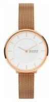 Наручные часы Skagen SKW3013