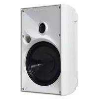 SpeakerCraft OE6 One White акустика всепогодная