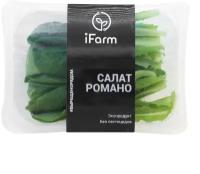 Салат романо, iFarm