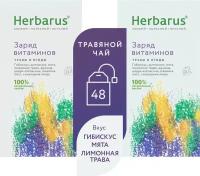 Чай в пакетиках из трав Herbarus "Заряд Витаминов", 48 пак