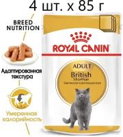 Влажный корм для кошек Royal Canin British Shorthair Adult, для взрослых кошек породы британская короткошерстная, 4 шт. х 85 г (кусочки в соусе)