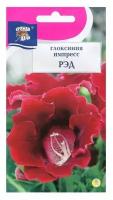 Семена цветов Глоксиния "Импресс Рэд", 3 шт. в амп