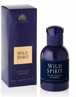 Parfums Eternel Туалетная вода мужская Wild Spirit, 100 мл