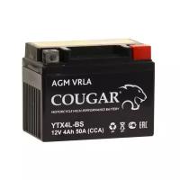 Аккумулятор мотоциклетный COUGAR AGM VRLA 12V4 YTX4L-BS 113x70x85